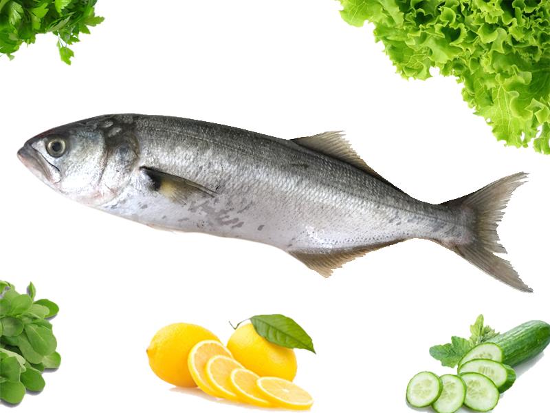 Sarı Kanat Sarı Kanat