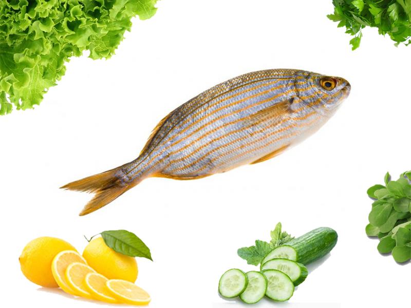 Sarpa balığı Sarpa balığı