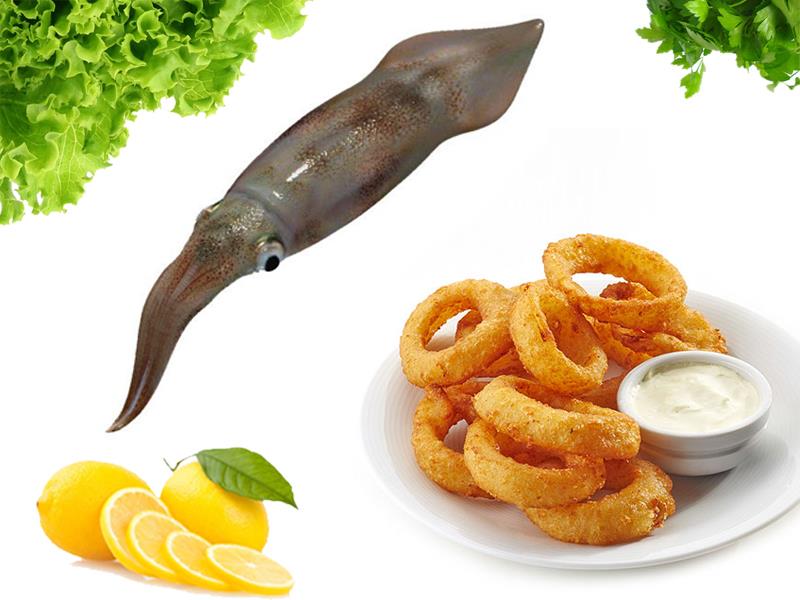Kalamar Balığı Kalamar Balığı